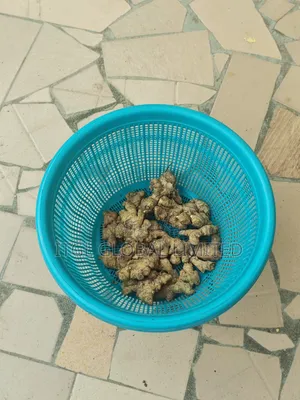 Sabo Ginger - Ingancin Kaduna
