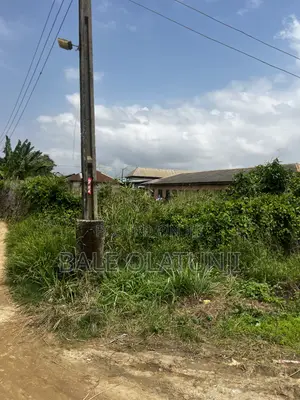 Filin Kasuwa a Igbogbo, Ikorodu