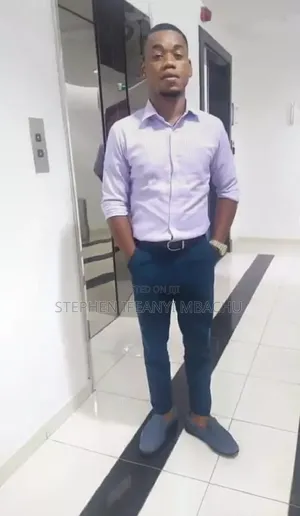 Stephen Ifeanyi Mbachu - CV Na Ofis
