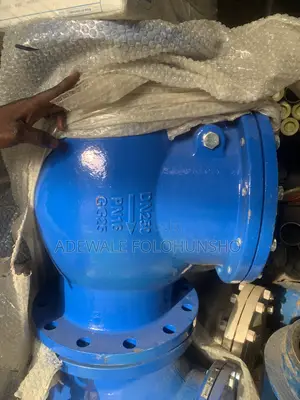 Master Cast Iron Non-Return Valve (250mm)