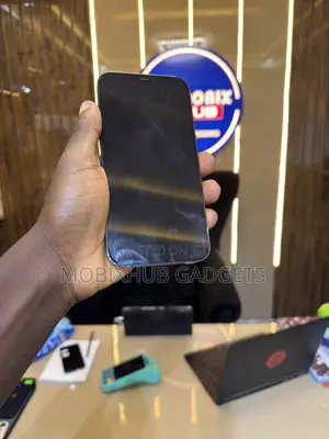 Apple iPhone 12 Pro Max 128GB Baƙi