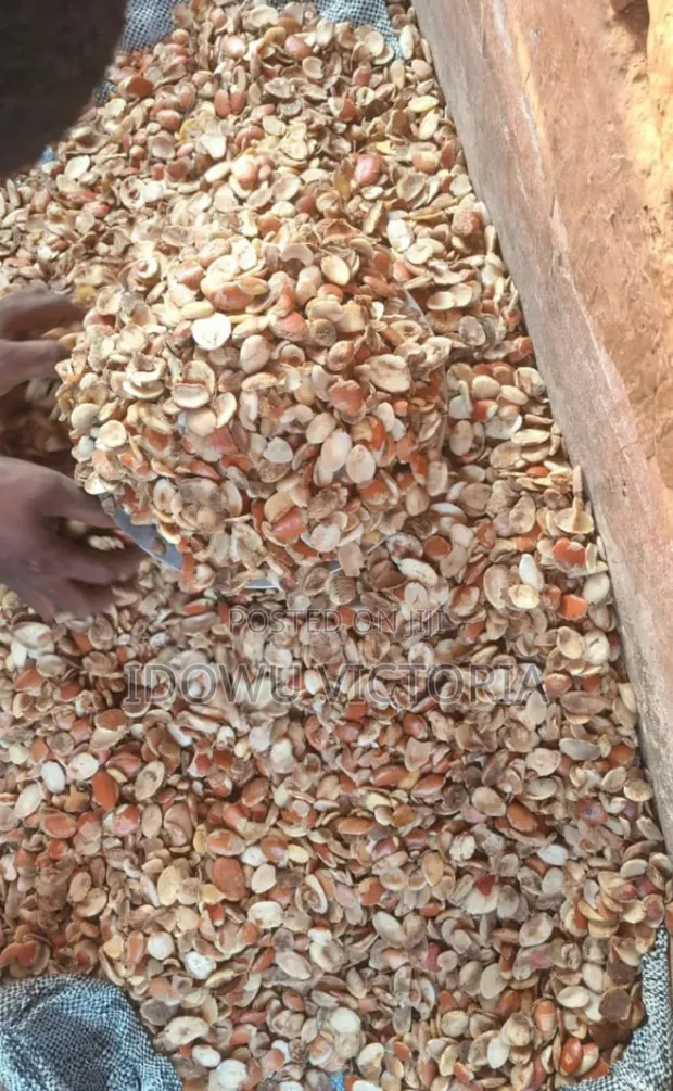 Ador Ogbono - 1