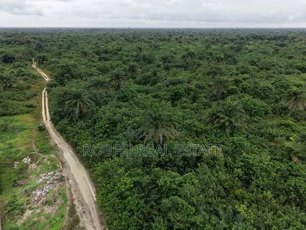 Land Opportunity in Ibeju-Lekki - 1