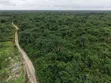 Land Opportunity in Ibeju-Lekki - 1