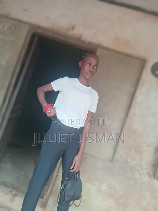 Receptionist, Cleaner, Stylist - Ibadan - 1