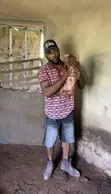 Aladun Pureline Duroc - 1