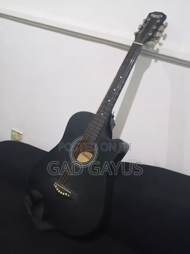 Acoustic Guitar - 1