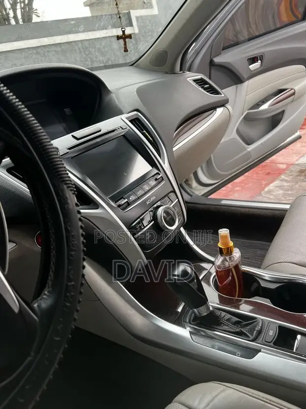 Professional Family Driver in Lagos - 1