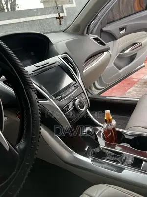 Professional Family Driver in Lagos