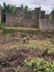 4 Bedroom Bungalow in Daylight Property, Benin City - 5