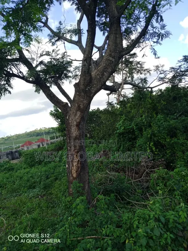 Distress Sale: 1.5 Hectares Land in Lugbe - 1