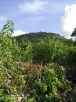 Distress Sale: 1.5 Hectares Land in Lugbe - 5