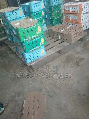 CHI Ranar Rana Broilers Akwai - Ibadan