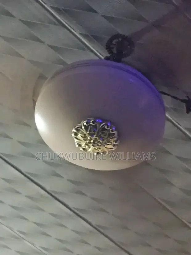 Used Giant Ox Ceiling Fan - 1