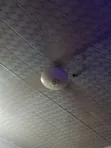 Used Giant Ox Ceiling Fan - 2