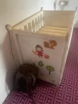 Quality Baby Cot - Used - 3