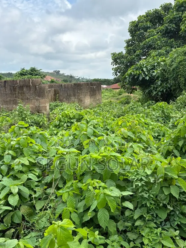 Rabin Rabin Filin Dadi don Siyarwa a Apapa Moniya, Ibadan - 1