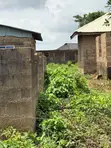 Rabin Rabin Filin Dadi don Siyarwa a Apapa Moniya, Ibadan - 3