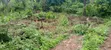 Residential Land for Sale, Idanre Road, Akure - 1