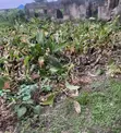Land for Sale in Ketu - 300sqm Residential Plot - 2