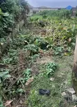 Land for Sale in Ketu - 300sqm Residential Plot - 4