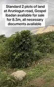 2 Plots of Land at Ojoo, Arulogun Gospel Area - 1