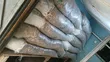 Dried Cassava Peels for Animal Feed - 1