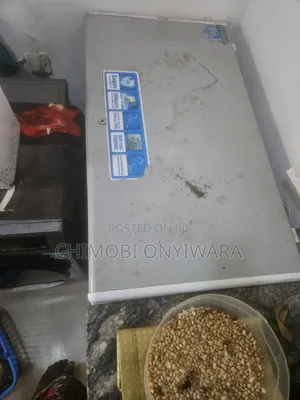 Haier Thermocool Deep Freezer - Gray