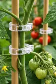 100 Pcs Amatropics Tomato Clips - 2