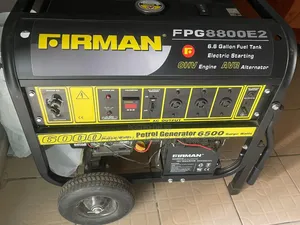 Firman FPG 8800E2 Generator 6.5 kVA Used