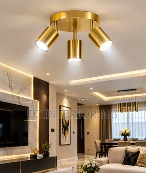 Postmodern Style Ceiling Lamp - Gold Iron