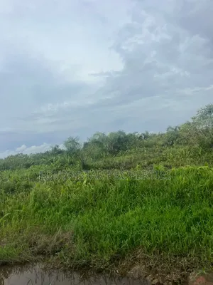 50 Plots Available at Coastal Road, Ibeju Lekki