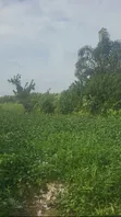 Filin Dawa don Siyarwa a Elemoro - 4