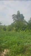 Filin Dawa don Siyarwa a Elemoro - 5