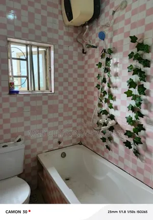 Professional Bathroom Toilet Cleaning Service