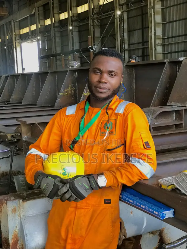 Precious Ikereke - Project Management Professional - 1