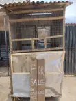 Kiosk Shop for Sale - Aluminium Body - 2