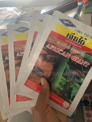 African Giant Kokwamba Irin - 50g