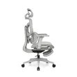 Ergonomic Mesh Executive Chair Mai Leg Rest - 3