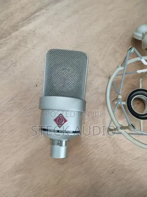 Neumann Professional Studio Condenser Microphone
