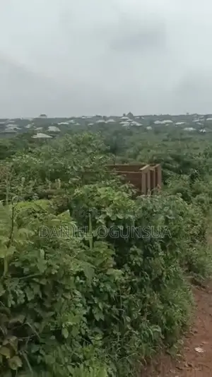 1 Acre Residential Land for Sale in Ifote, Ifo, Ogun State