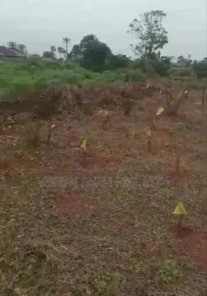 50ft x 200ft Land for Sale, Obagie Nokenkporo