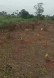 Filin 50ft x 200ft Don Siyarwa, Obagie Nokenkporo - 1