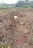 Filin 50ft x 200ft Don Siyarwa, Obagie Nokenkporo - 2