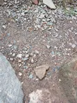 Residential Land for Sale in Gidan Magoro, Kurudu - 2
