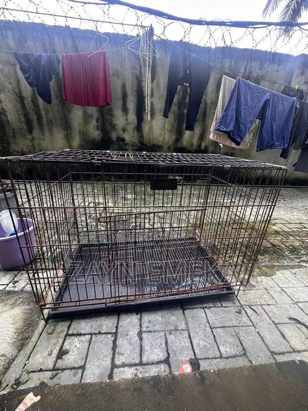 Dog Cage for Sale - 1