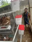 Sabon Shigo da Battery Cages na Layers - 1