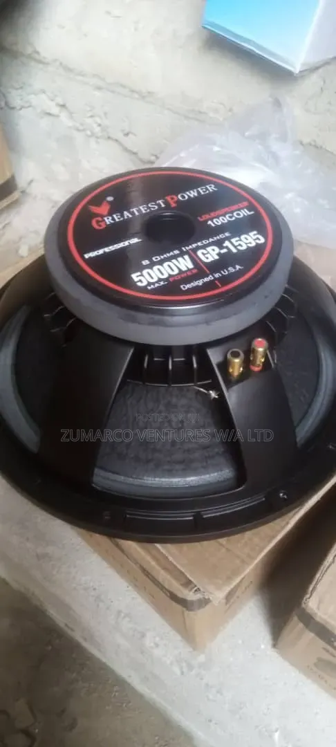 5000W GP Naked Speaker - 1