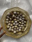 Nest and Bloom Quail Eggs (30 Count) - 3
