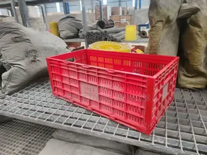 Egg Transport Crate - Brand New